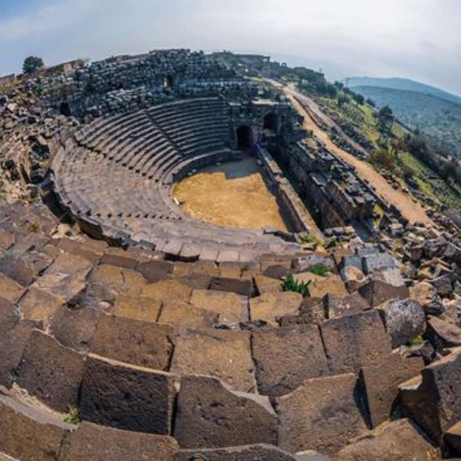 Explore Northern Jordan:Amman to Jerash, Ajloun,and Umm Qais - What your driver adds to the day