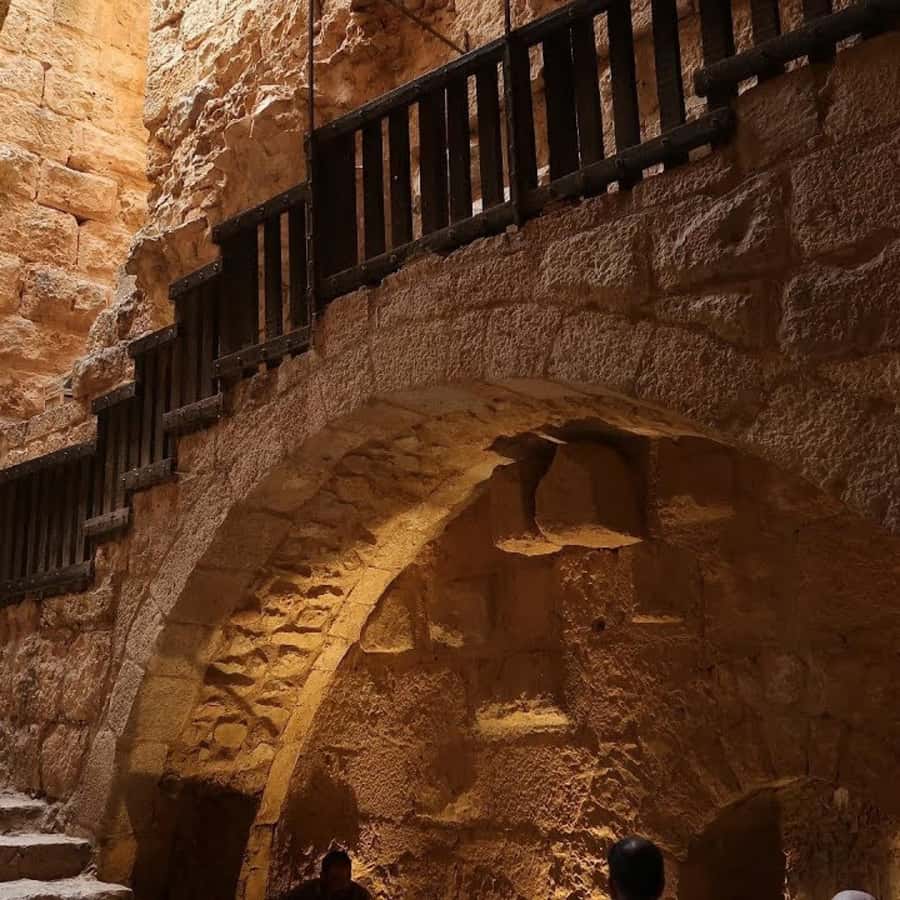 Explore Northern Jordan:Amman to Jerash, Ajloun,and Umm Qais - Is $102 a good value?