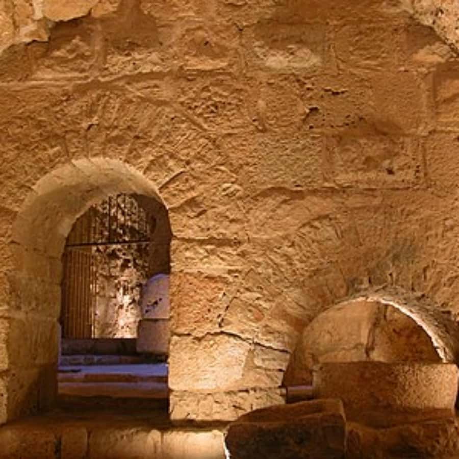 Explore Northern Jordan:Amman to Jerash, Ajloun,and Umm Qais - The long-day question