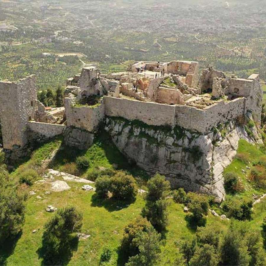 Explore Northern Jordan:Amman to Jerash, Ajloun,and Umm Qais - Booking details worth knowing