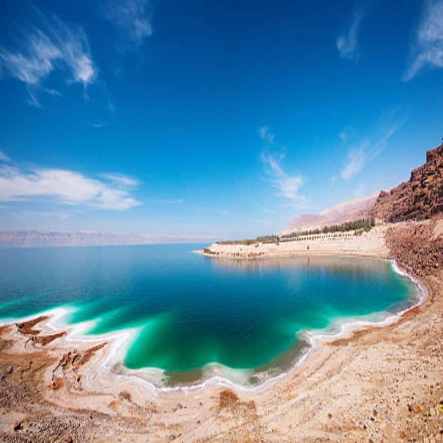 Explore the Dead Sea on a Half-Day Tour From Amman - Floating in the Dead Sea