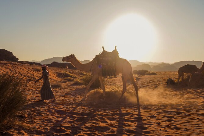 Explore Wadi Rum Desert with Camel Ride Experience with Stay - Um Sabatah at sunset
