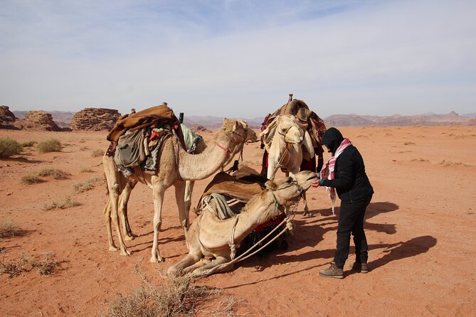 Explore Wadi Rum Desert with Camel Ride Experience with Stay - Dinner under sand and a night beneath the stars