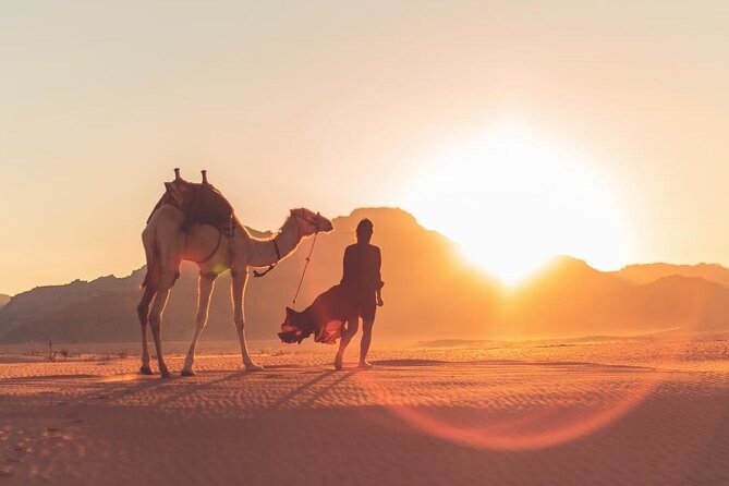 Explore Wadi Rum Desert with Camel Ride Experience with Stay - Starting at Wadi Rum Village and meeting the camels