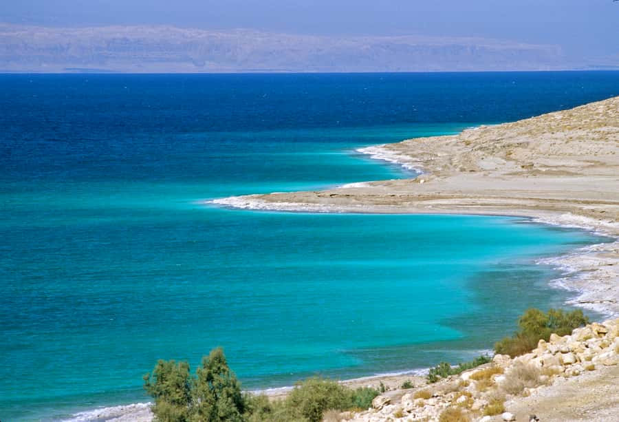 From Amman: 5-Hour Dead Sea Experience with Lunch & Return - Your time at the salt water and mineral mud