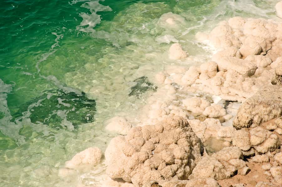 From Amman: 5-Hour Dead Sea Experience with Lunch & Return - Timing, flexibility, and the return to Amman