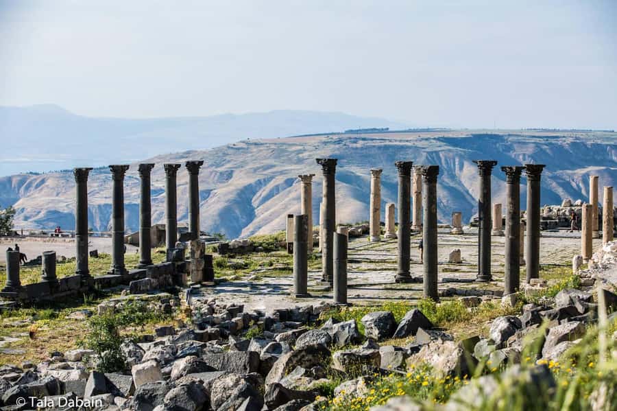 From Amman: , Ajloun, and Jerash Day Tour - Ajloun Castle: A Fortress Above the Jordan Valley
