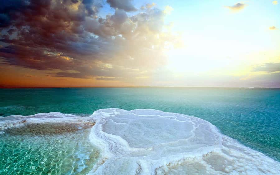 From Amman: Dead Sea, Mt Nebo, Madaba, Baptism full day trip - Who should book this day?