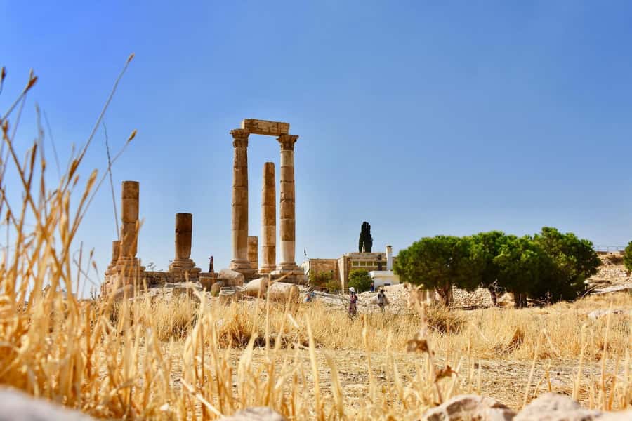 From Amman: Full day Jerash and Amman city Tour - The driver, not a formal guide