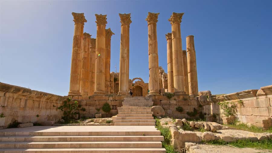 From Amman : Full day Private tour Jerash and Dead sea. - Lunch, resort access, and the real value of $89