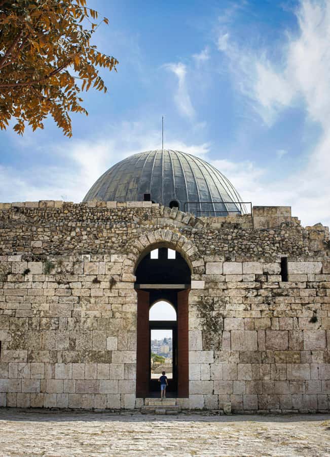From Amman : Full-Day Tour of Amman city and Desert Castles - What the private driver adds