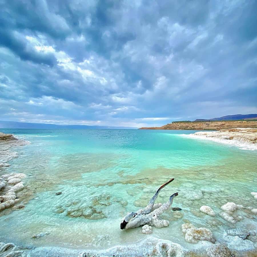 From Amman: Half-Day Tour to Dead Sea - Why this Amman to Dead Sea trip works