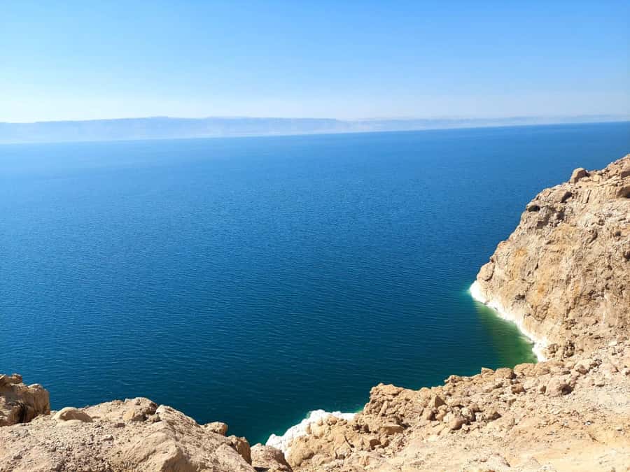 From Amman: Half-Day Tour to Dead Sea - Four hours beside the Dead Sea