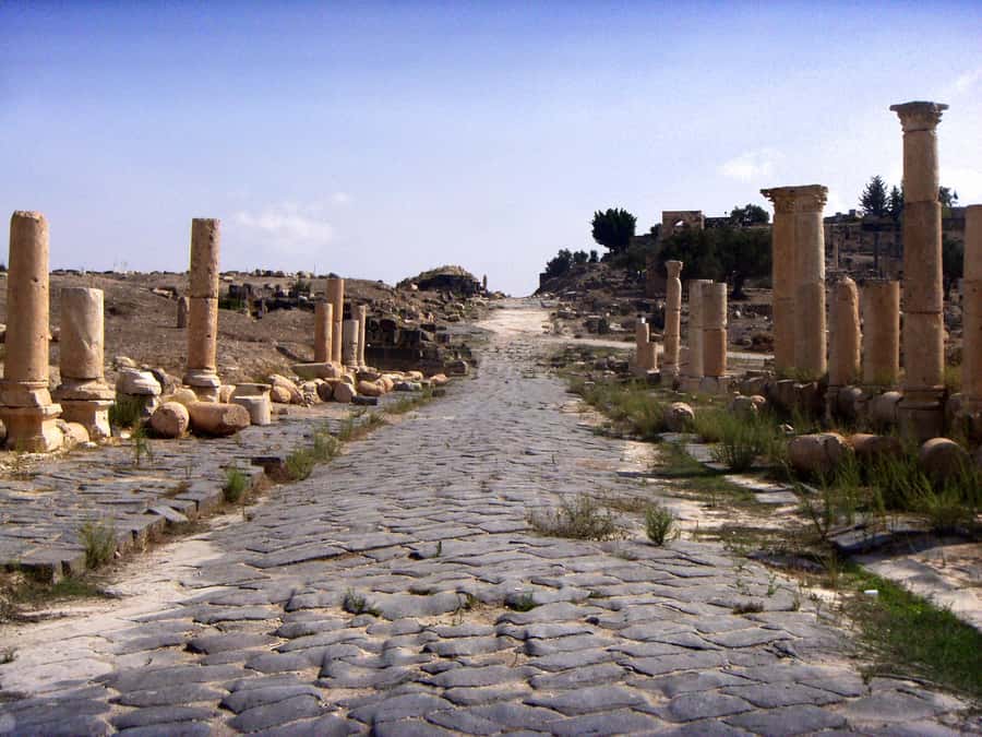 From Amman: Jerash, Ajloun Castle or Umm Qais Private Tour - Jerash: the day’s main event