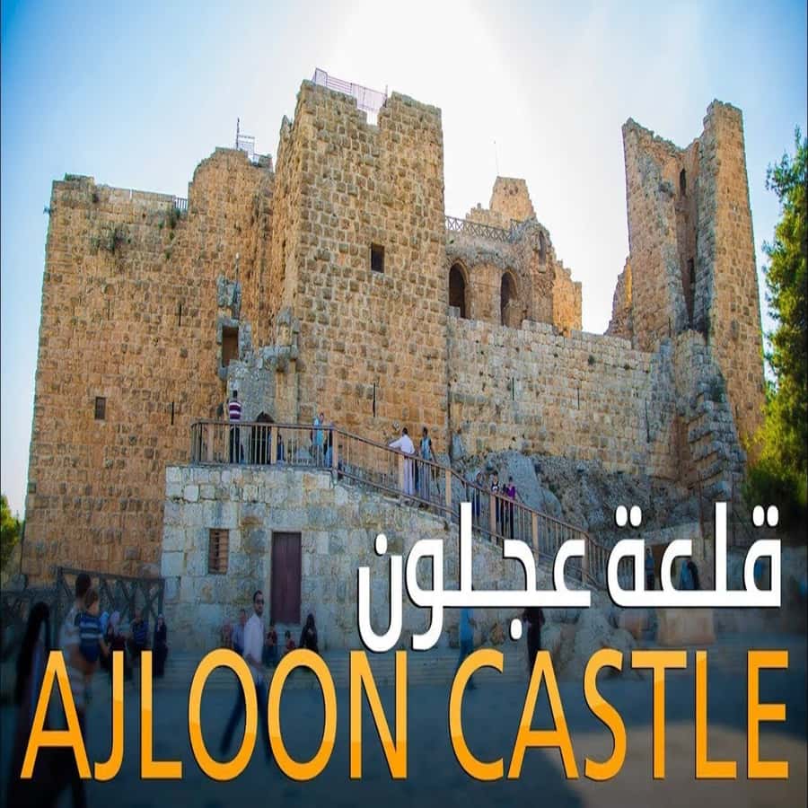 From Amman: Jerash &Ajloun &Um Qais Private Tour - Two very different chapters of northern Jordan
