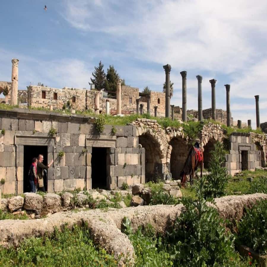 From Amman: Jerash &Ajloun &Um Qais Private Tour - Is $70 good value?