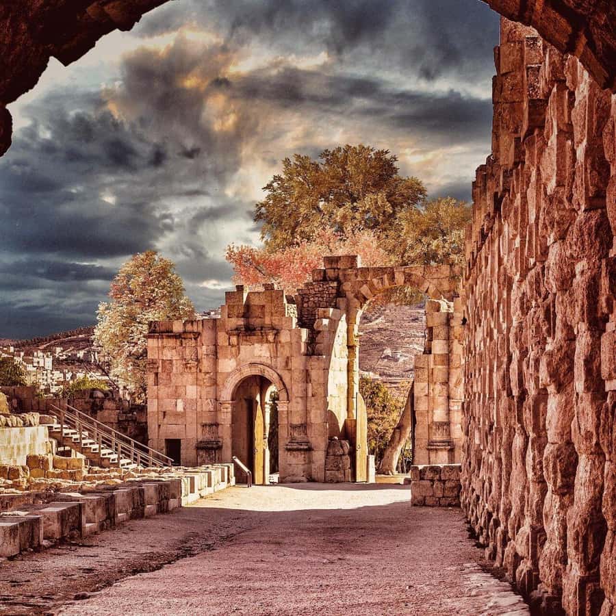 From Amman: Jerash &Ajloun &Um Qais Private Tour - Who should book this day?
