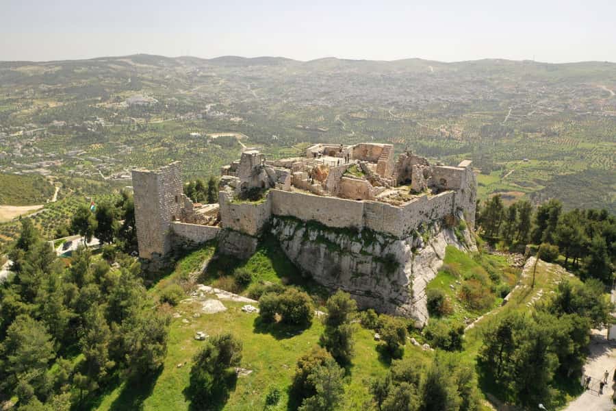 From Amman: Jerash and Ajloun Castle Private Tour - Key points at a glance