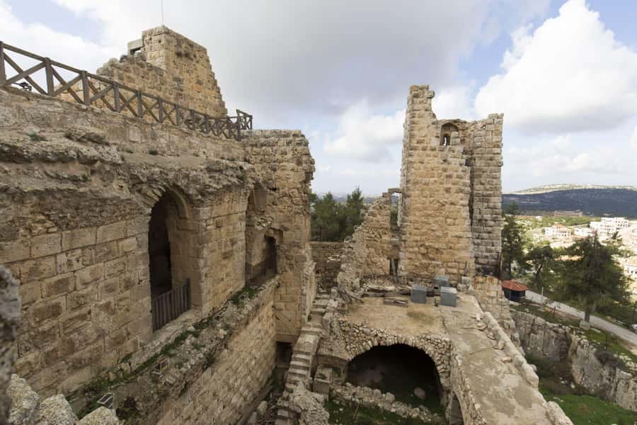 From Amman: Jerash and Ajloun Castle Private Tour - The Road North From Amman