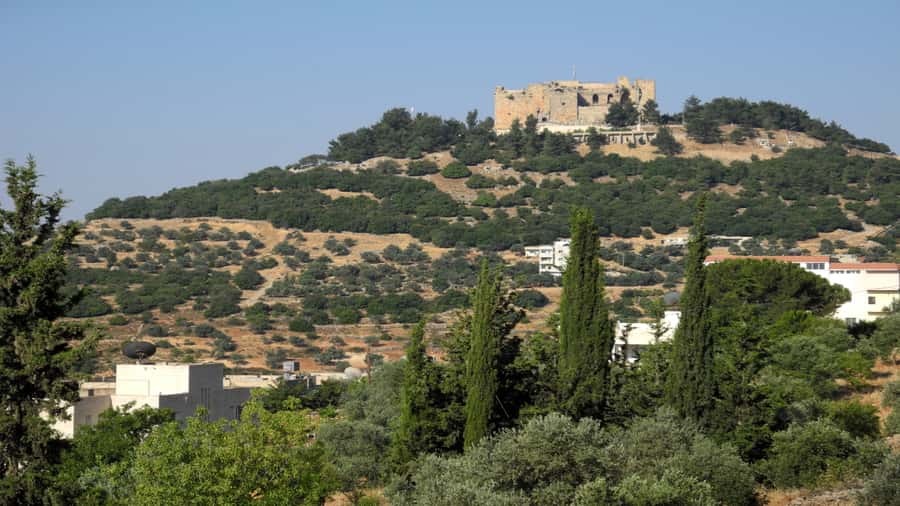 From Amman: Jerash and Ajloun Day Tour - The Temple of Artemis