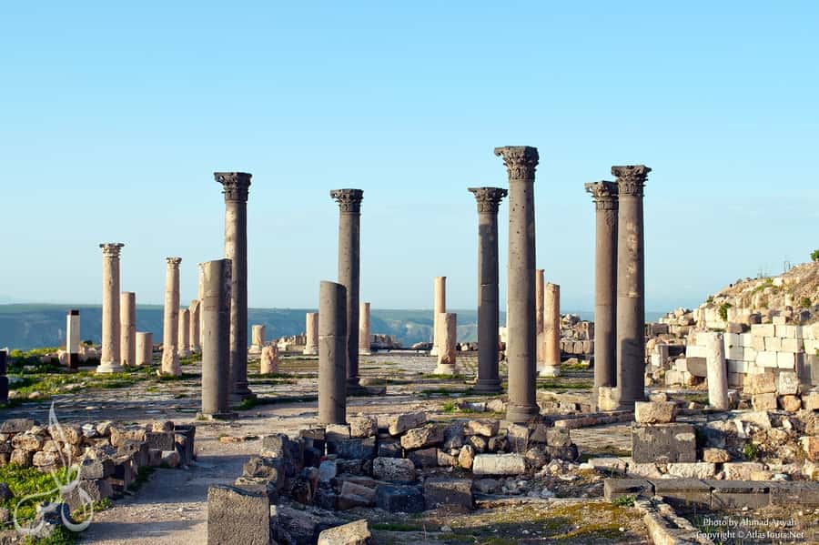 From Amman: Jerash, Umm Qais, and Jesus' Cave Private Trip - Guides, drivers, and the private-tour experience