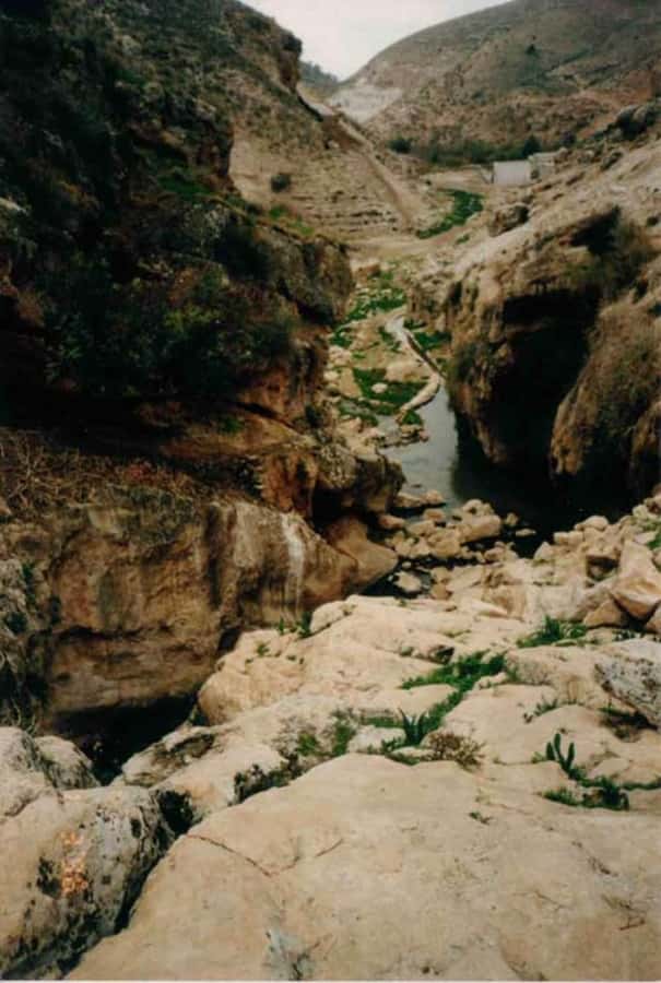 From Amman: Jerash, Umm Qais, and Jesus' Cave Private Trip - Who should book this private day trip?