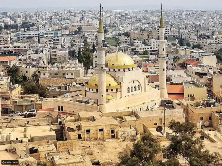 From Amman: Madaba, Mount Nebo, and Dead Sea Day Trip - Key points before you book