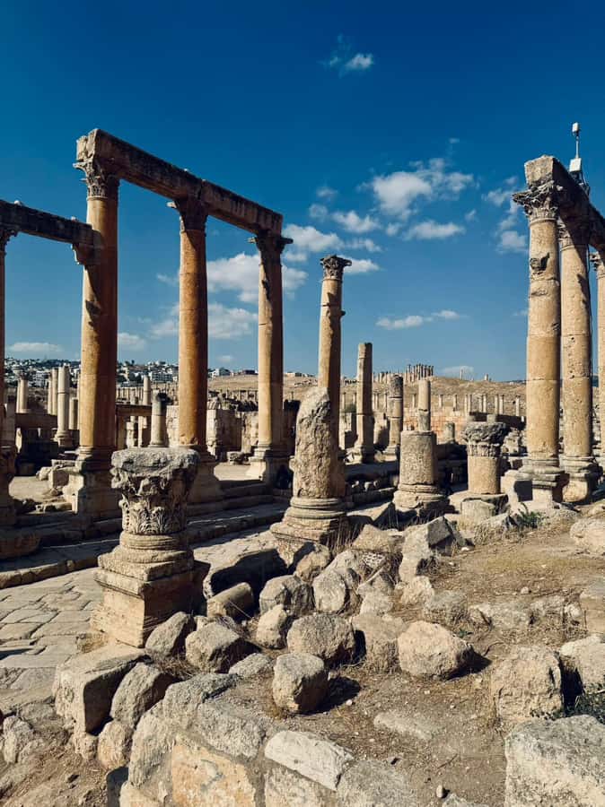 From Amman: Madaba, Mount Nebo, and Dead Sea Day Trip - Transport, pickup, and the human side of the trip