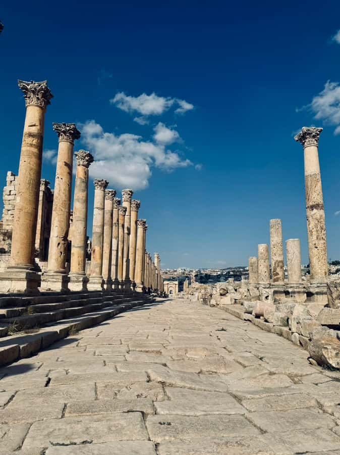 From Amman: Madaba, Mount Nebo, and Dead Sea Day Trip - Who should book this experience?
