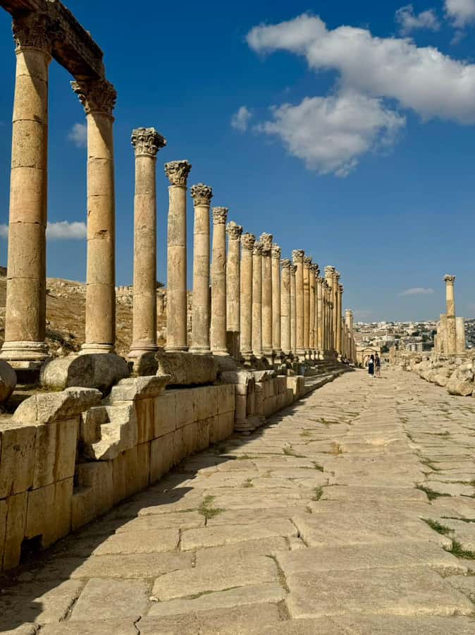 From Amman: Madaba, Mount Nebo, and Dead Sea Day Trip - What to bring and how to prepare