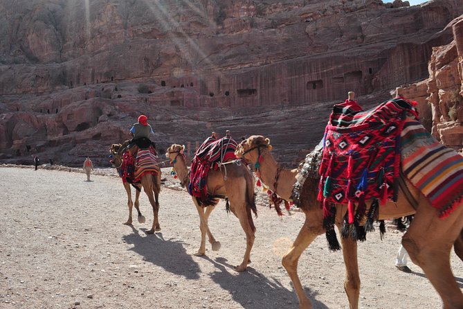 From Amman: one day tour to Petra - Why this Petra day trip works from Amman