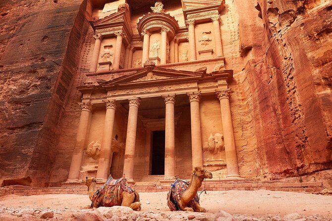 From Amman: Petra and Wadi rum Full day Tour - Why the driver matters so much