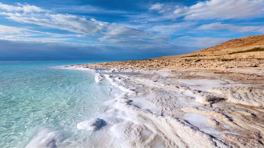 From Amman: Petra & Dead Sea Day Trip - Which driver experience should you expect?