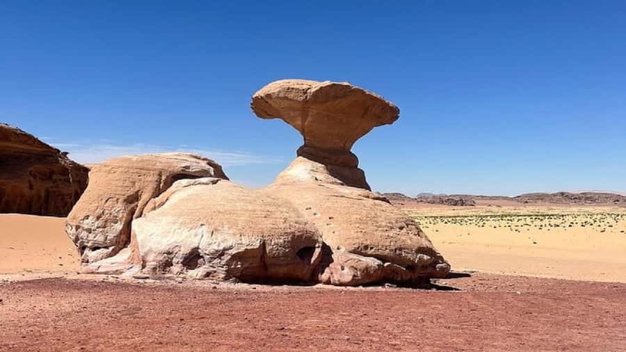 From Amman: Petra, Wadi Rum, and Dead Sea Private 2-Day Trip - Four hours in Petra: focus your energy wisely