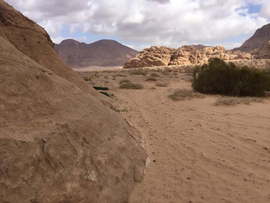 From Amman: Petra & Wadi Rum Day Trip - Four Hours Inside Petra, the Rose City