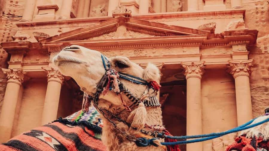 From Amman: Petra, Wadi Rum & Dead Sea 3 days private tour - Key points before you book