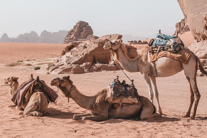 FROM AMMAN | Petra & Wadi Rum in one day | The Jordanian Mappers - Entering Petra through the visitor center