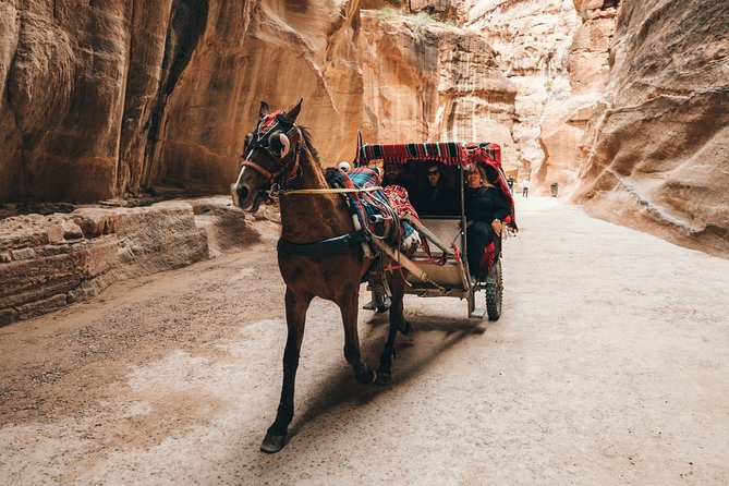 FROM AMMAN | Petra & Wadi Rum in one day | The Jordanian Mappers - Free time at Petra, then the main gate