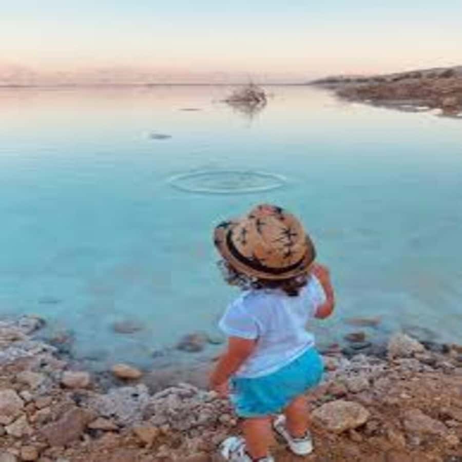 From Amman: Private Day Tour to Petra & Dead Sea (With lunch - A long transfer to the Dead Sea