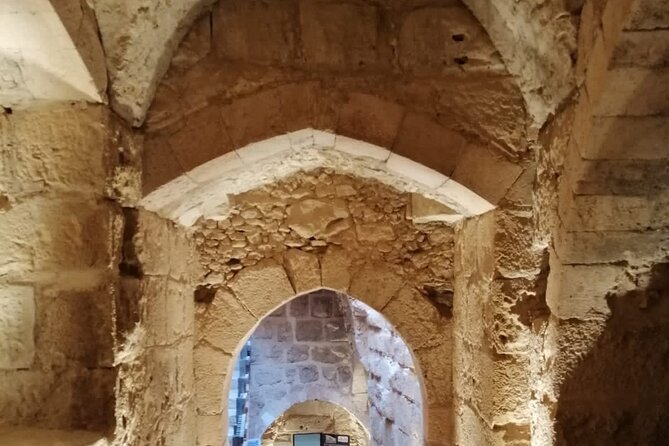 From Amman: Private Full Day Group Tour Jerash Ajloun and Amman - Key points at a glance