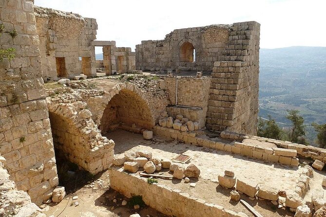 From Amman: Private Full Day Tour Jerash Ajloun & Um Qais - Five things to know before you book