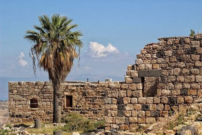 From Amman: Private Full Day Tour Jerash Ajloun & Um Qais - How the driver affects the day