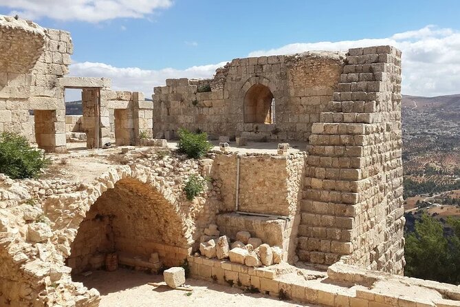 From Amman: Private Full Day Tour Jerash Ajloun & Um Qais - Who should book this tour?