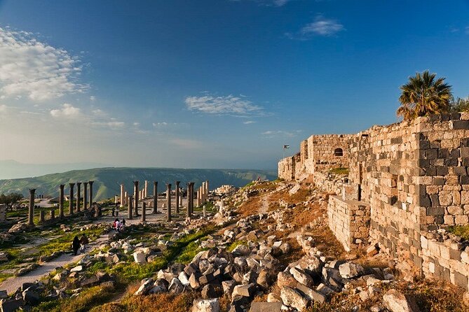 From Amman: Private Full Day Tour Jerash Ajloun & Um Qais - Ajloun Castle and the wooded hills