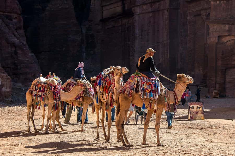 From Amman: Private full Day Tour to Petra & little Petra - Who should book this Petra tour?