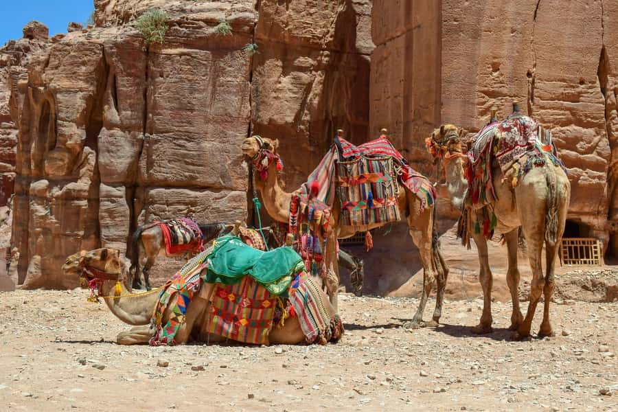 From Amman: Private full Day Tour to Petra & little Petra - The road from Amman to Petra