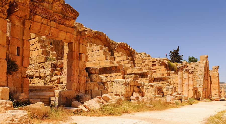 From Amman: Private Half-Day Tour to Jerash - The Oval Plaza and the first Roman views