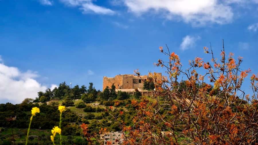 From Amman:Private Jerash, Ajloun Castle, and Umm Qais Tour, - Umm Qais, ruins with a wide horizon