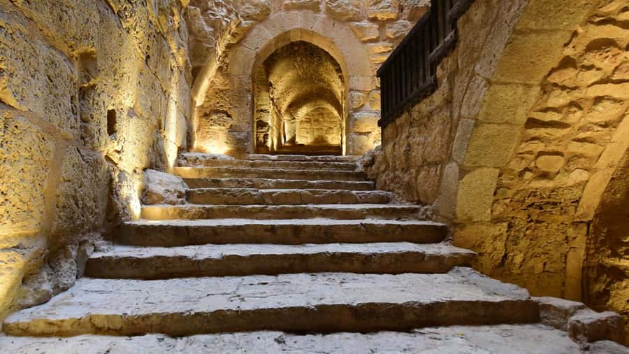 From Amman:Private Jerash, Ajloun Castle, and Umm Qais Tour, - Who should book this experience