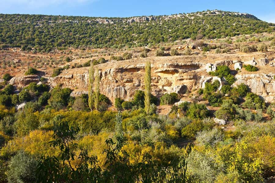 From Amman: Private Jerash, Ajloun Castle, and Umm Qais Tour - The ride from Amman to Jerash